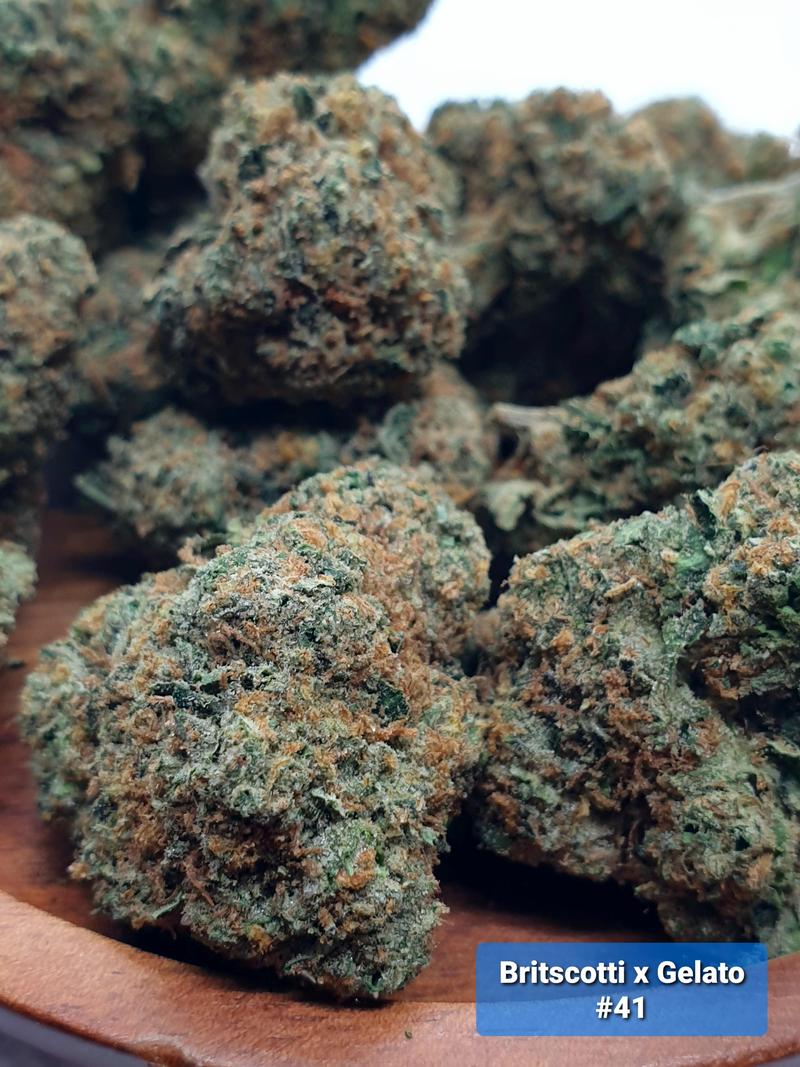 UK Mid flowers