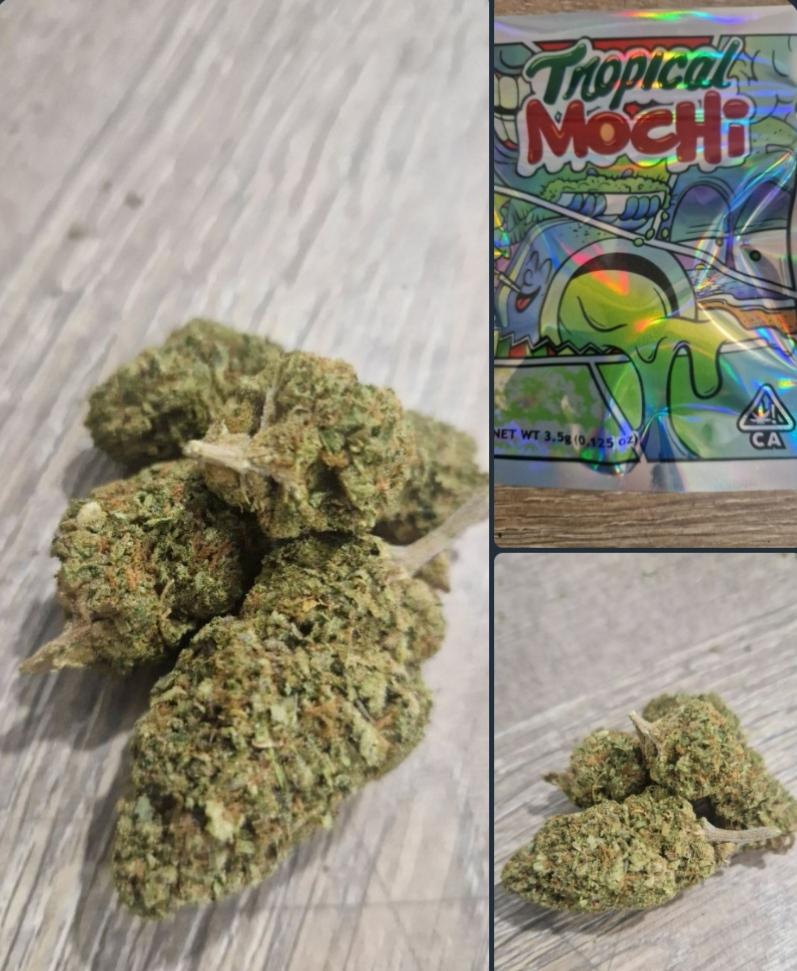 Tropical Mochi