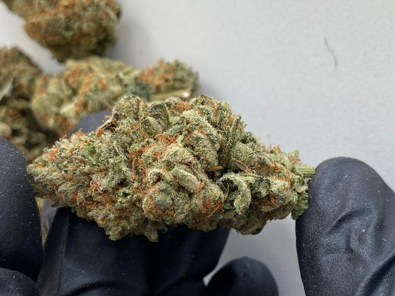 BLUE COOKIES