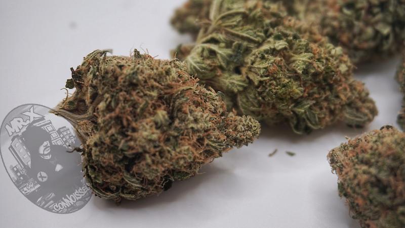 ***SKYWALKER OG***