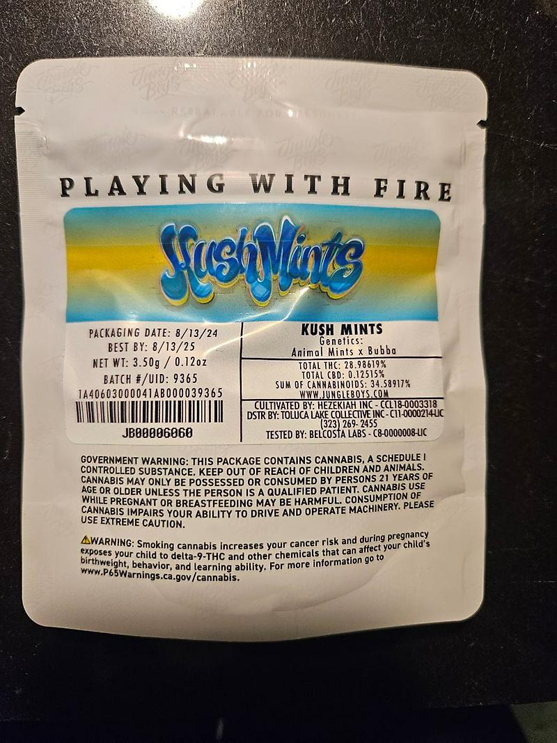 Jungle Boys Packs
