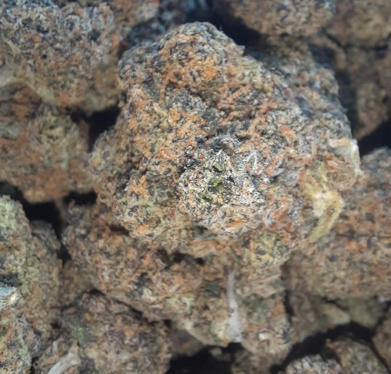 Biscott X Helium