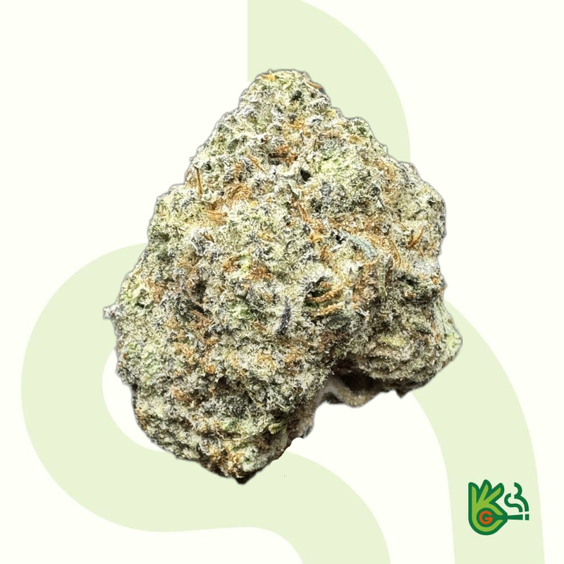 White Truffle