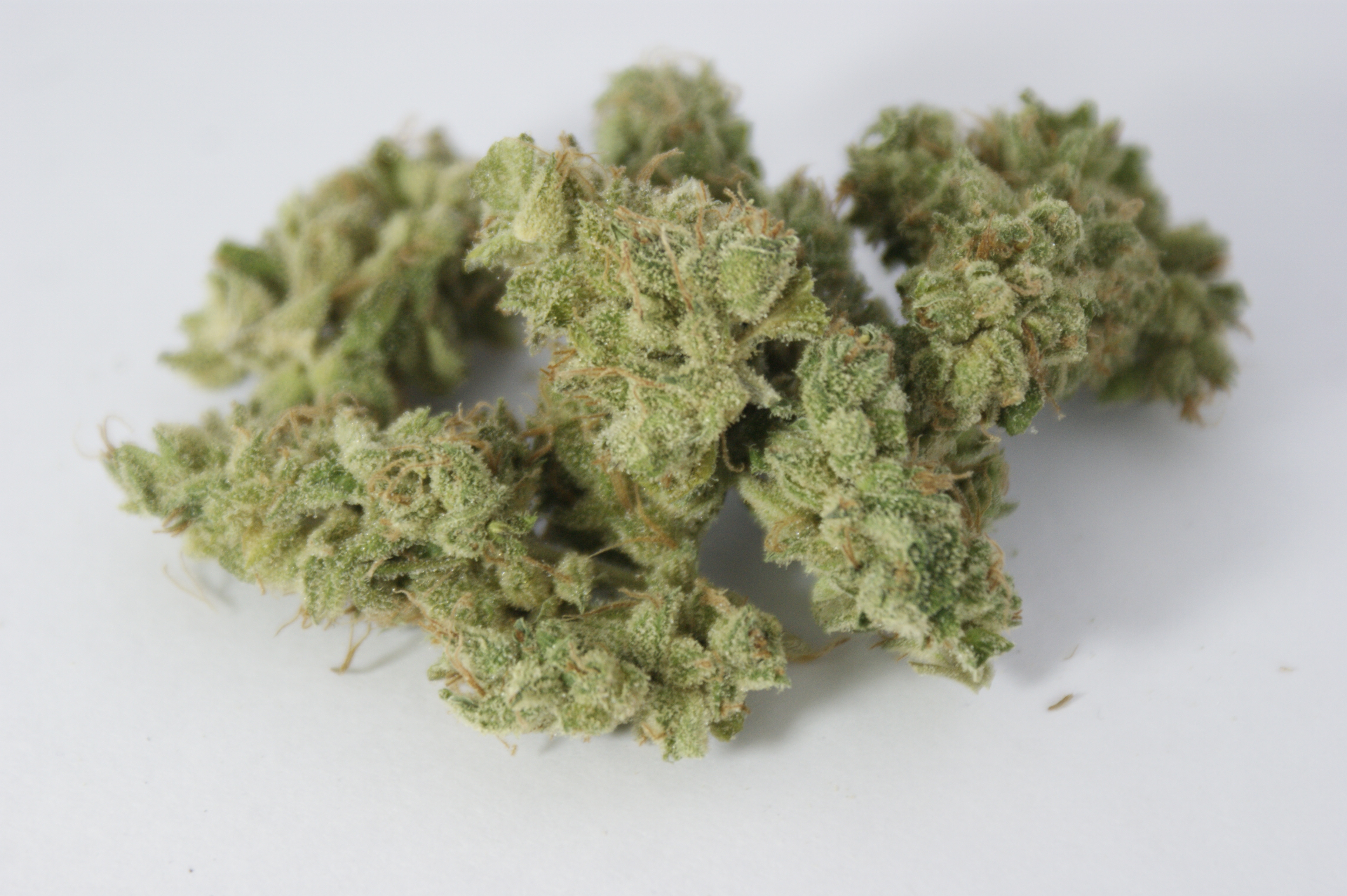 Jet Fuel OG