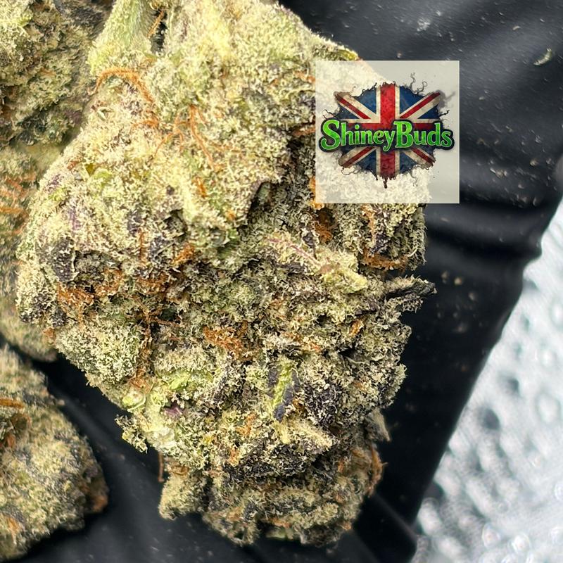 🇺🇸 10 Bandz CONNECTED CANNABIS
