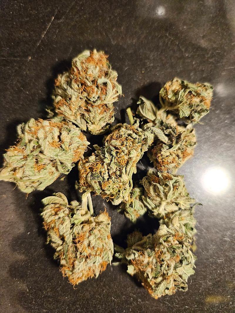Chem Dawg