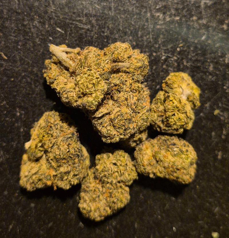 Jungle Cake