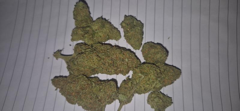 Rozzy Flower Listing