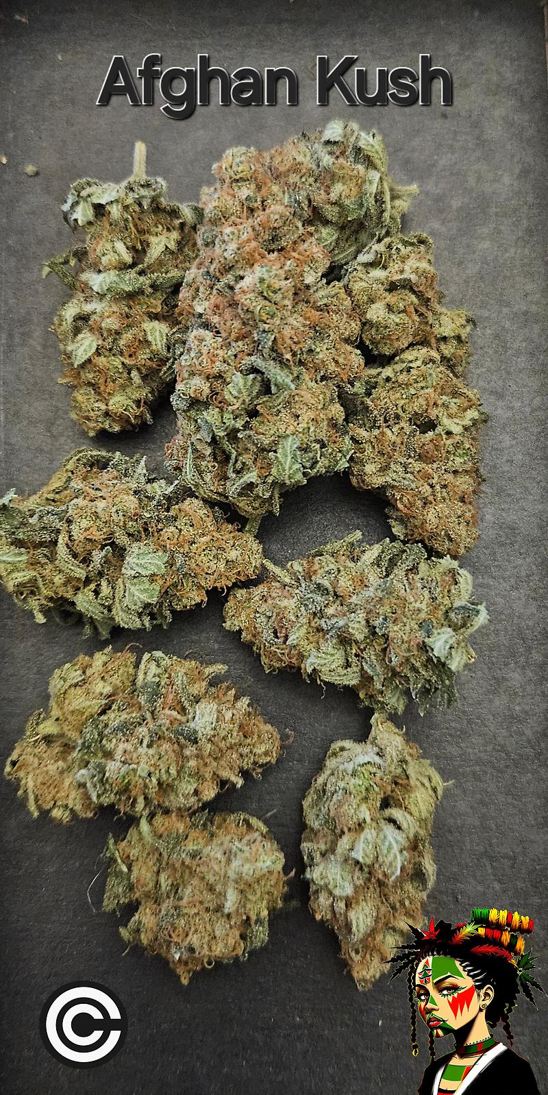 Afghan Kush