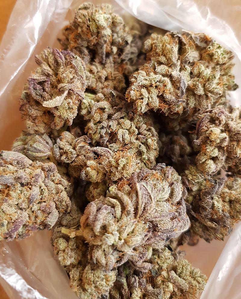 **PURPLE CHEMDAWG**