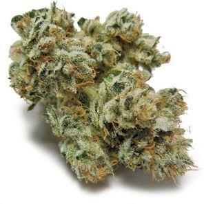 Free Pot Samples
