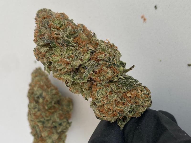 BLUE COOKIES