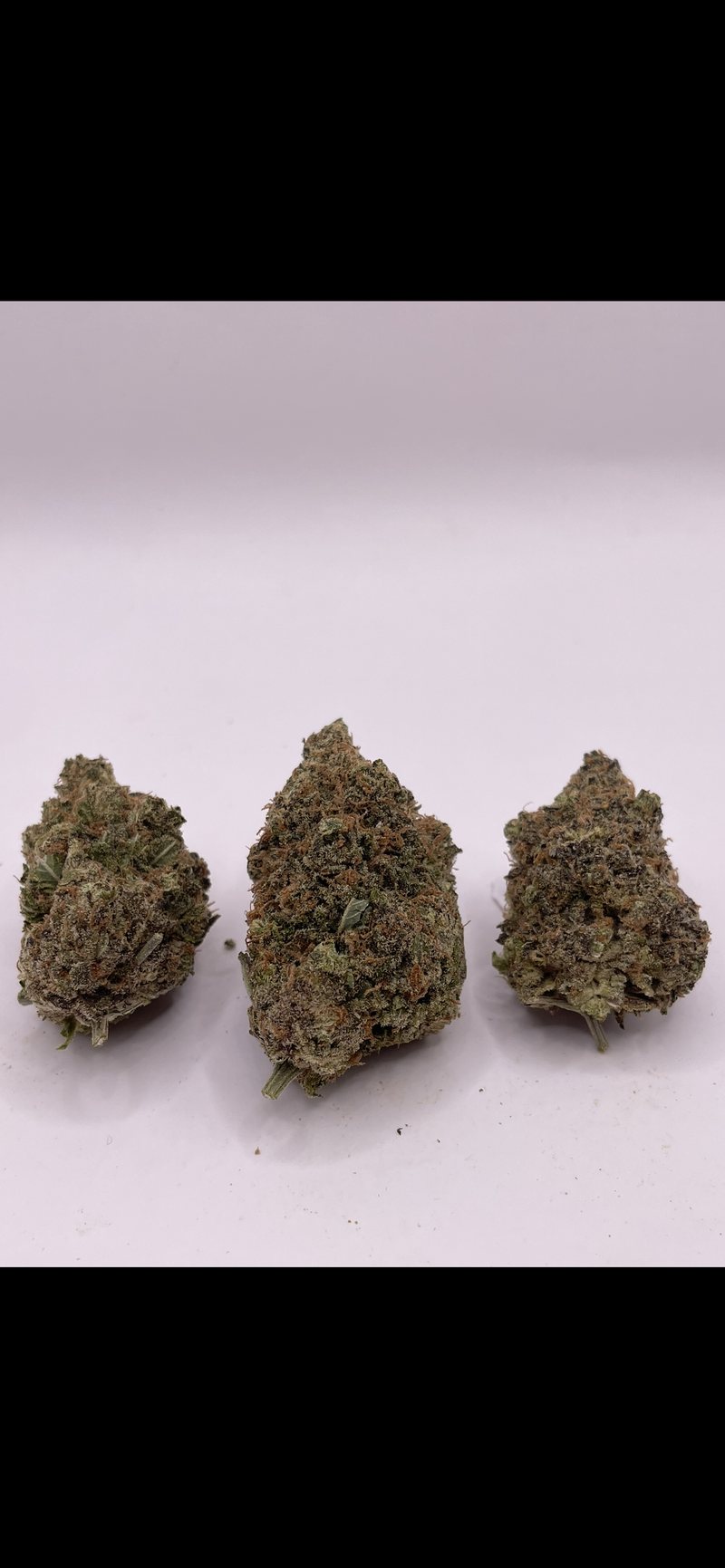 GELATO 33