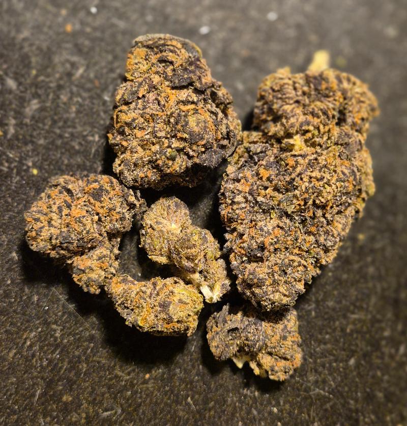 Gelato Cake Oz's