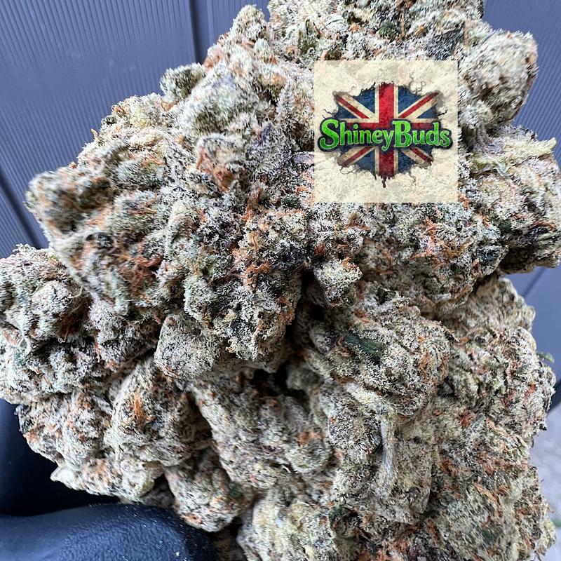 🇺🇸 Silver Spoon CONNECTED CANNABIS