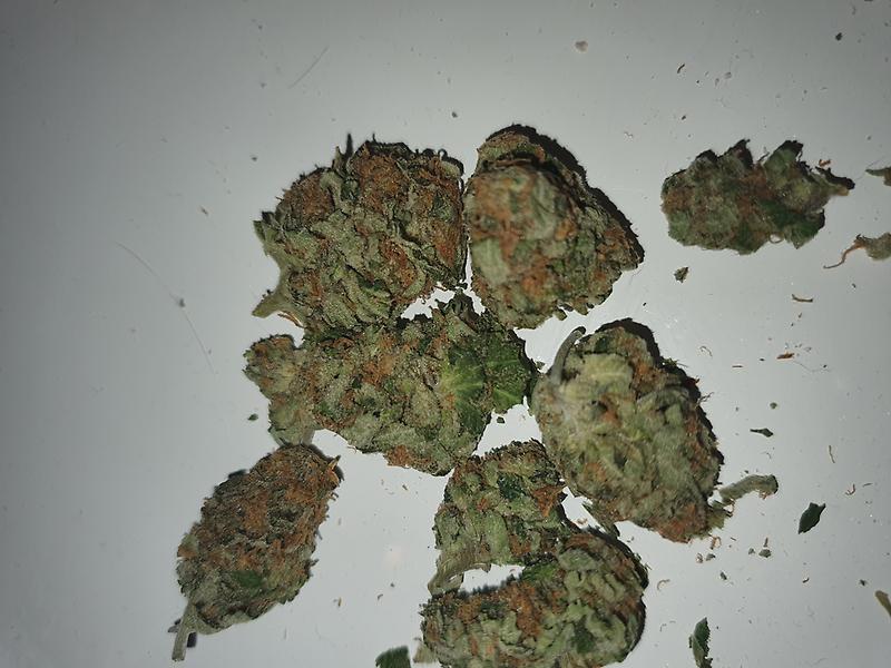 Critical bilbo