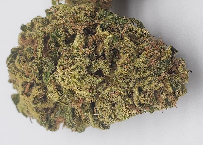 FRUIT JAM (SATIVA)