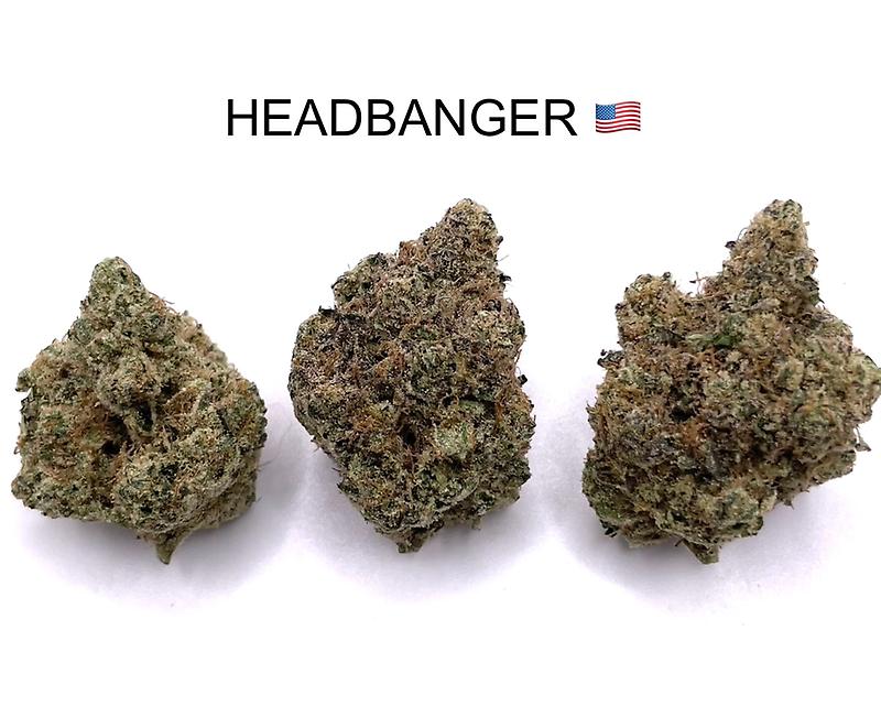 HEADBANGER