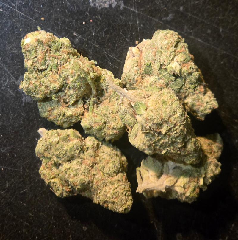 Tropical Nerdz