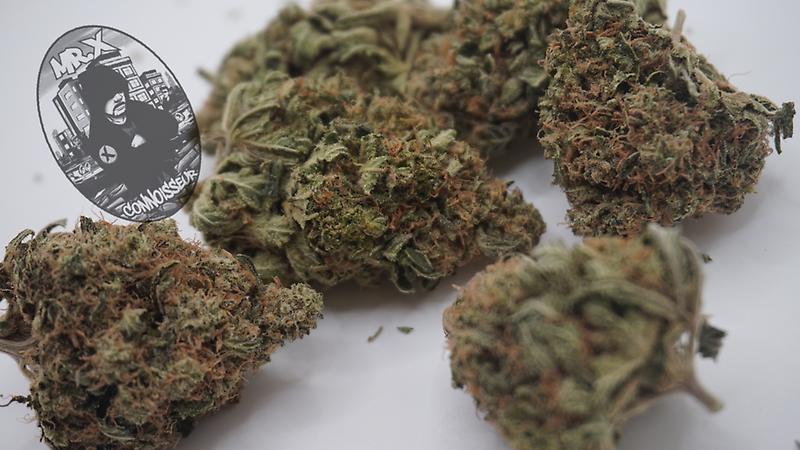 ***SKYWALKER OG***