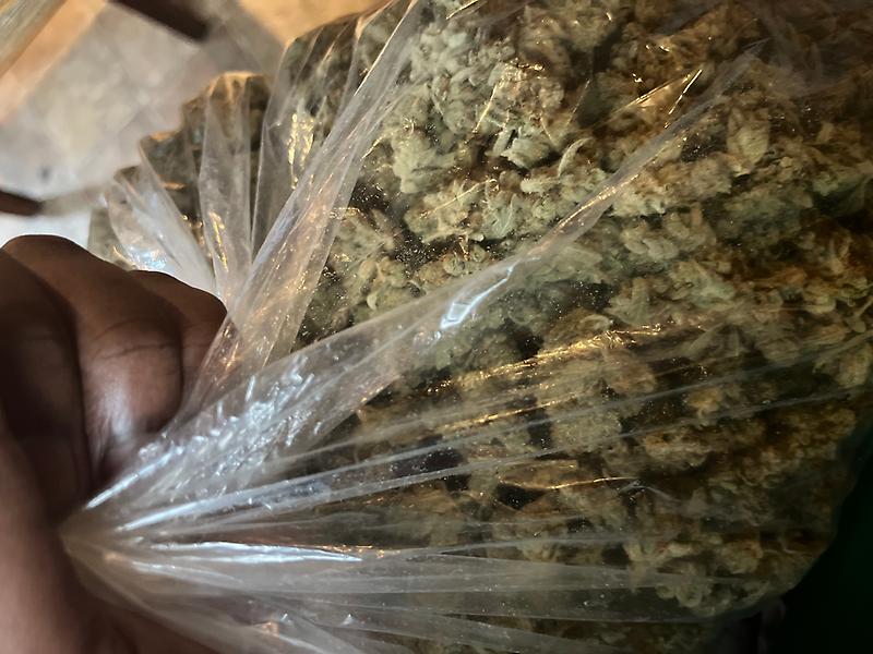 Free Pot Samples