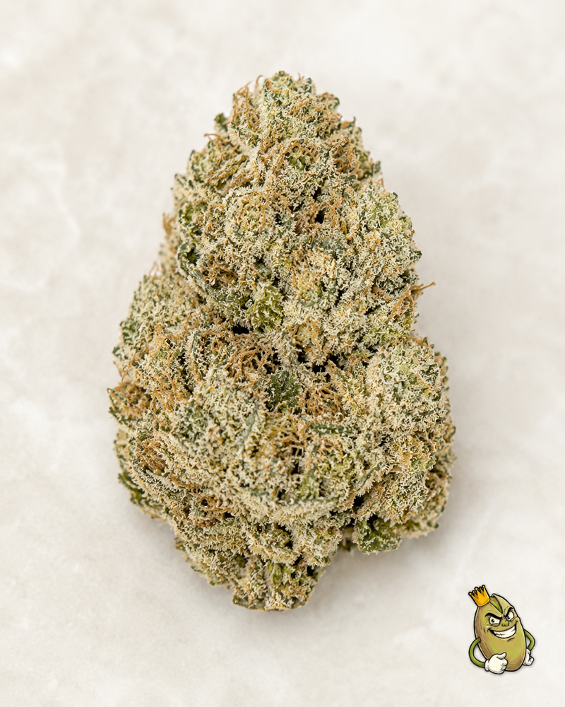 GLITTER BOMB - TOPSHELF £140 AN OUNCE