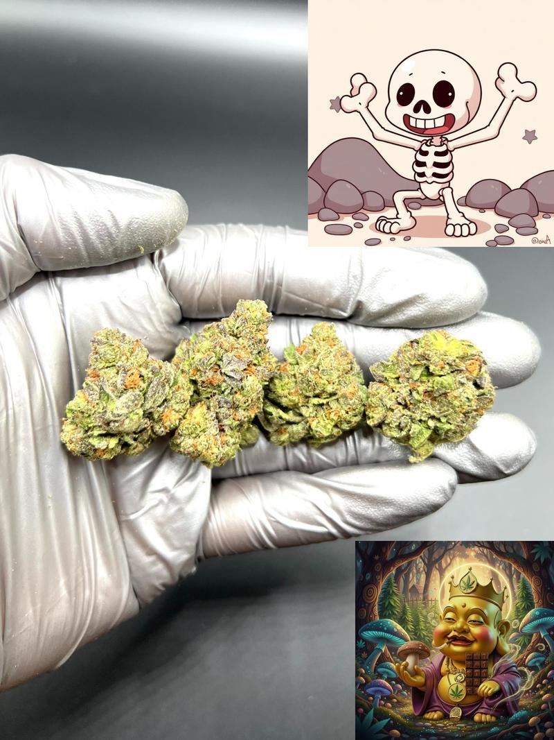 DAILY DOSE