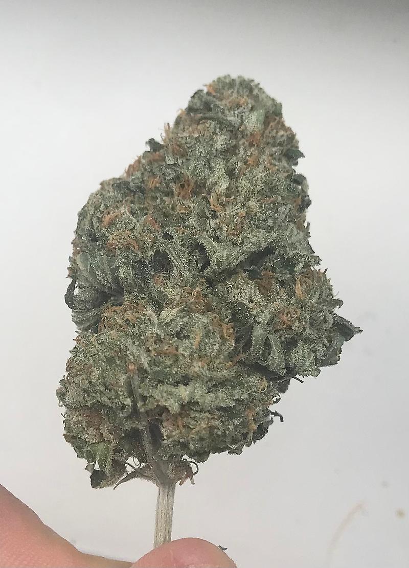 Girl scout cookies