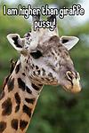 GiraffePussy