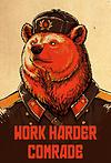 yogi