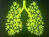 greenlungs