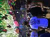 Alikarimi2