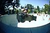 dogtown dave