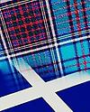 scotsraindog