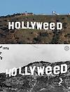 Hollyweed