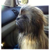 BabyChewy