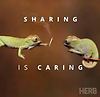 thegecko