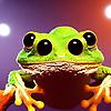 NuclearTreeFrog
