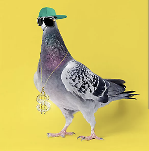 dapperflapper