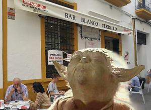 porompon
