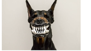 Buffybull