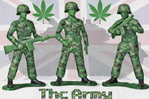 THCARMY