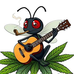 joedassinmosquito2