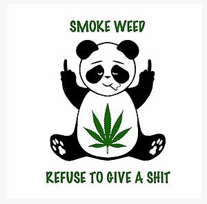 KingPanda