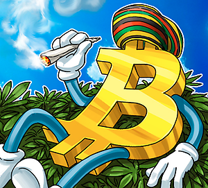 Bitcat88