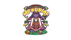 MrZodiacTrip