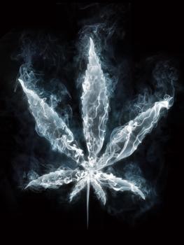 iBlazinHaze420