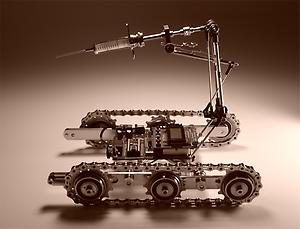 terminator borg