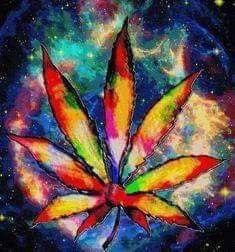 Devil's Lettuce