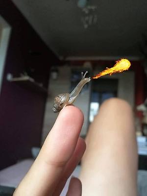 Nicedreams69